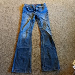 Cinch Lynden Trouser